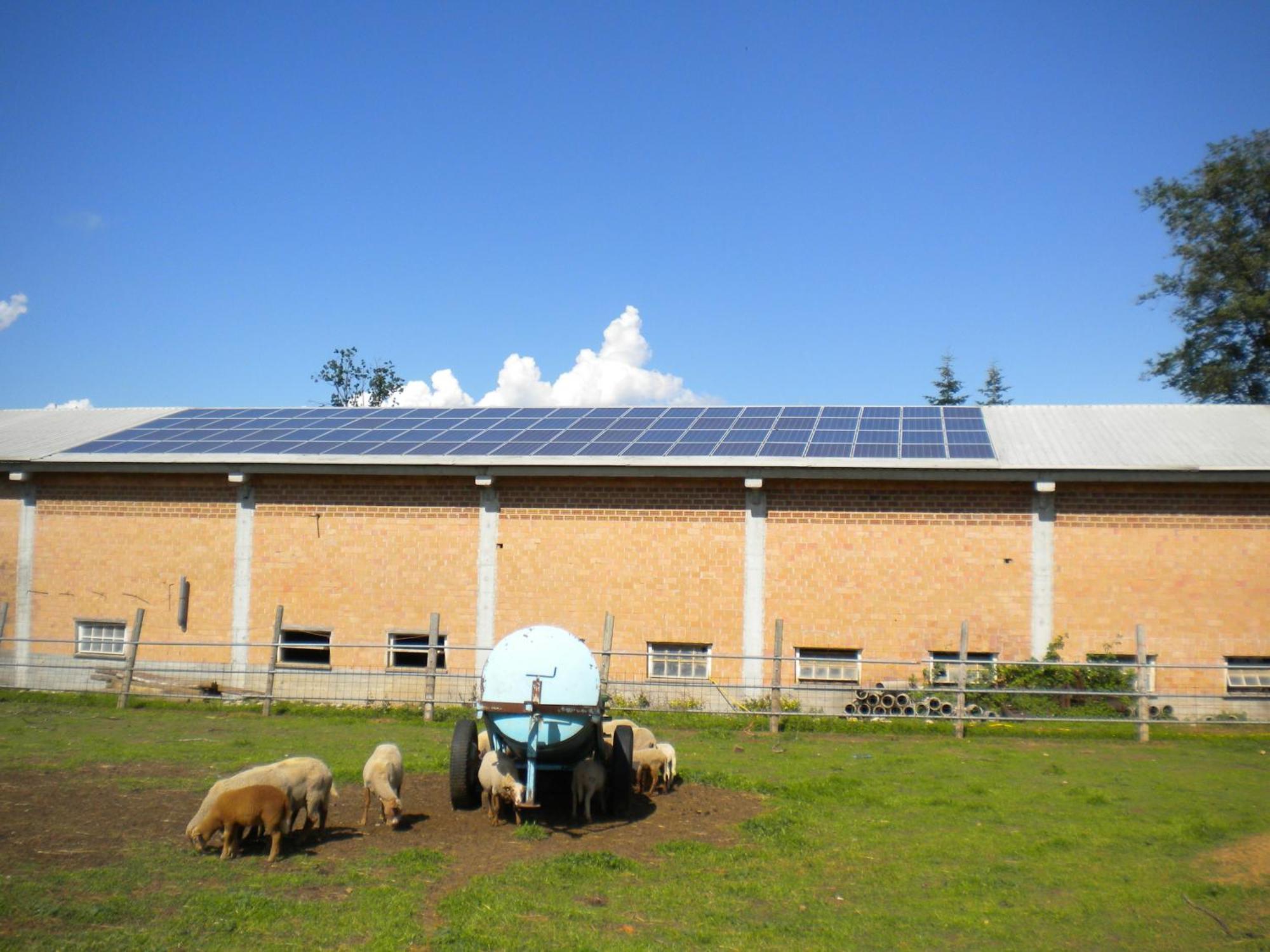 Agriturismo La Dimora Del Contadino Mondovì Екстериор снимка